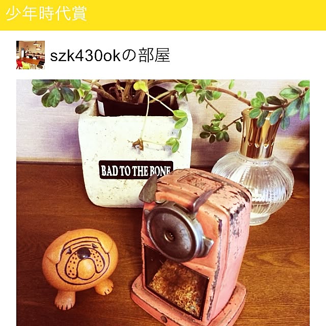 szk430okさんの実例写真