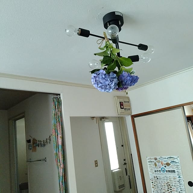 m.mさんの実例写真