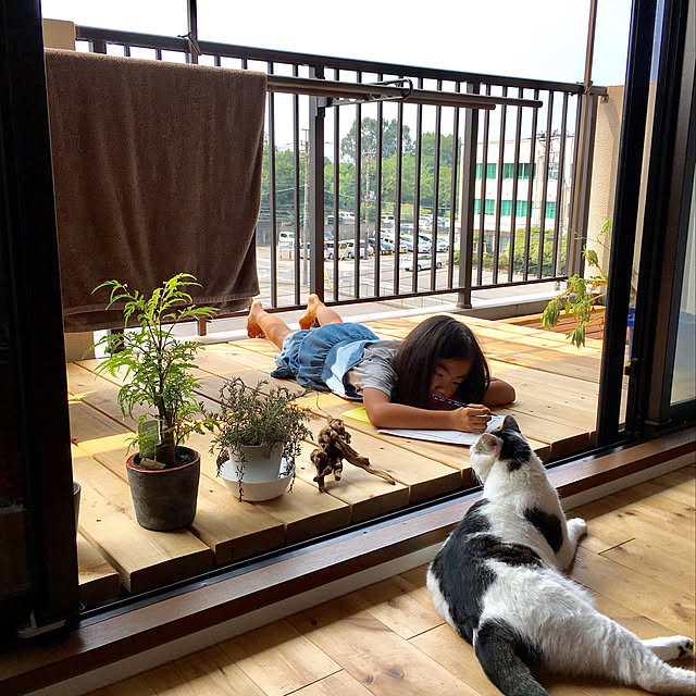 suz_catさんの実例写真