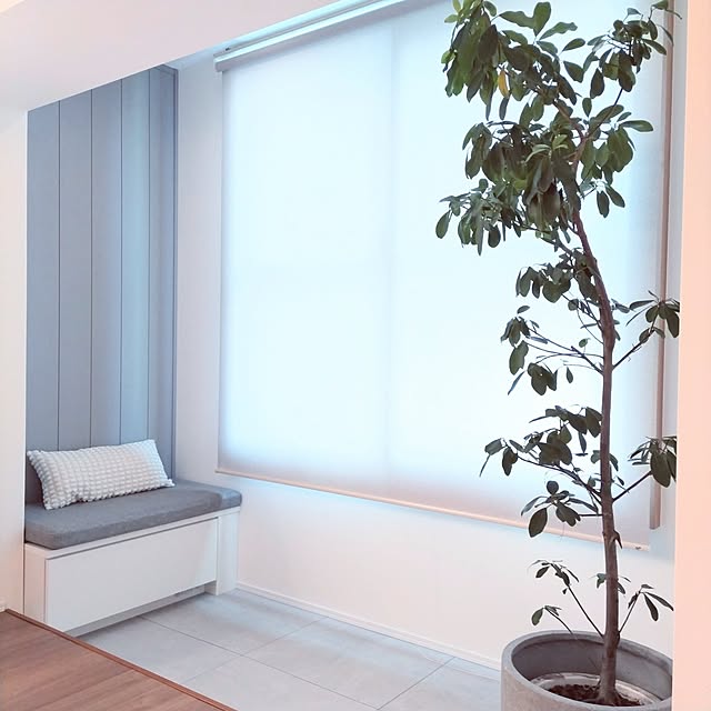 rikkyさんの実例写真