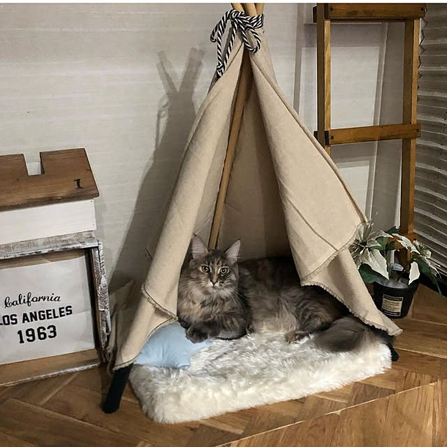 mayumiさんの実例写真