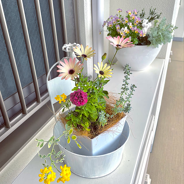 KLさんの実例写真