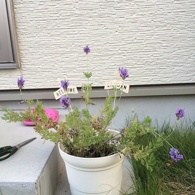 fourさんの実例写真
