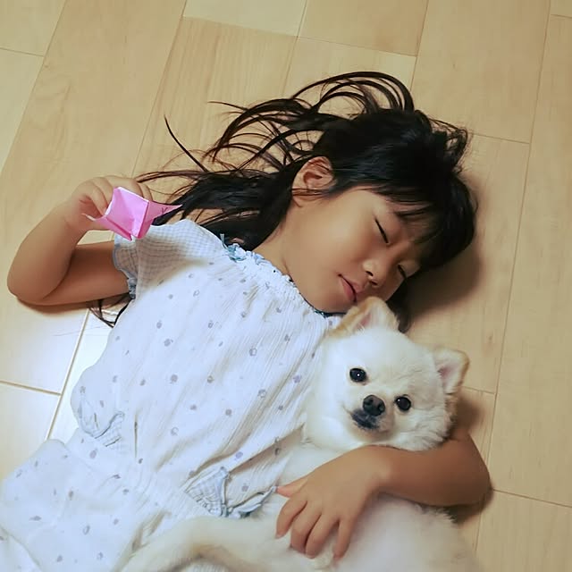 yuki15さんの実例写真