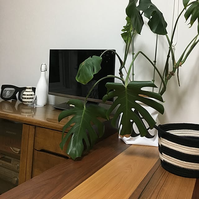 m.a.sea0609さんの実例写真