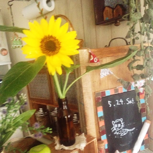 izuhanさんの実例写真