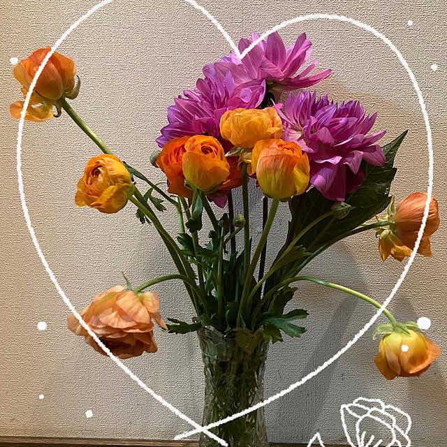 YUMIwancafe84さんの実例写真