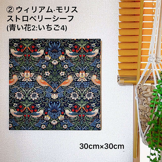 masumiさんの部屋
