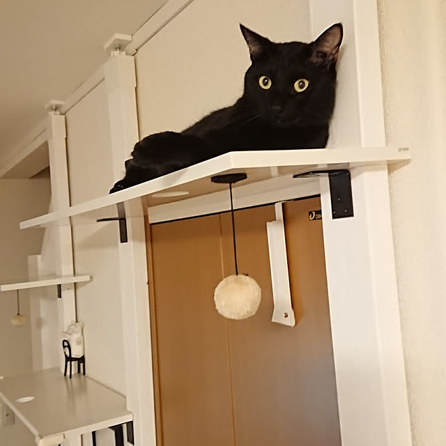 maikyさんの実例写真