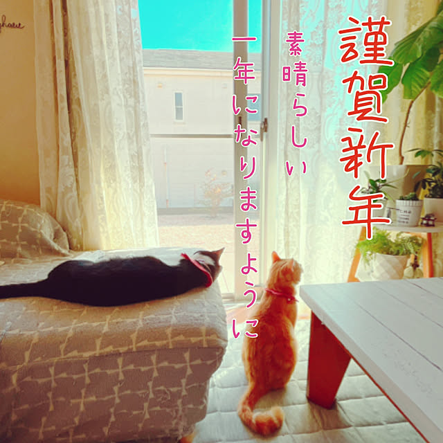 moolさんの実例写真