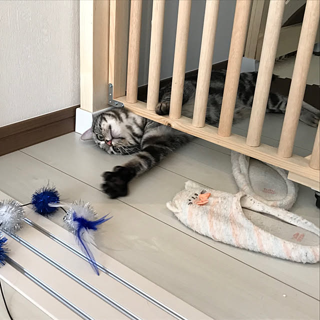 KotarouKunさんの実例写真
