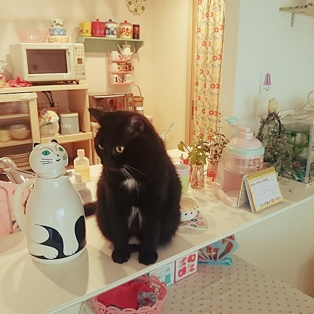 lambchopさんの実例写真
