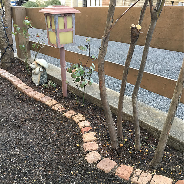 tabasaさんの実例写真