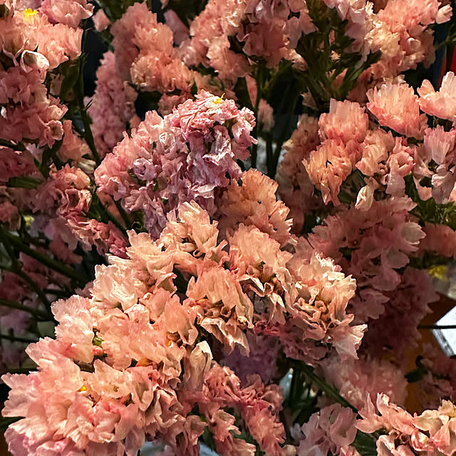 okyame-chanさんの部屋