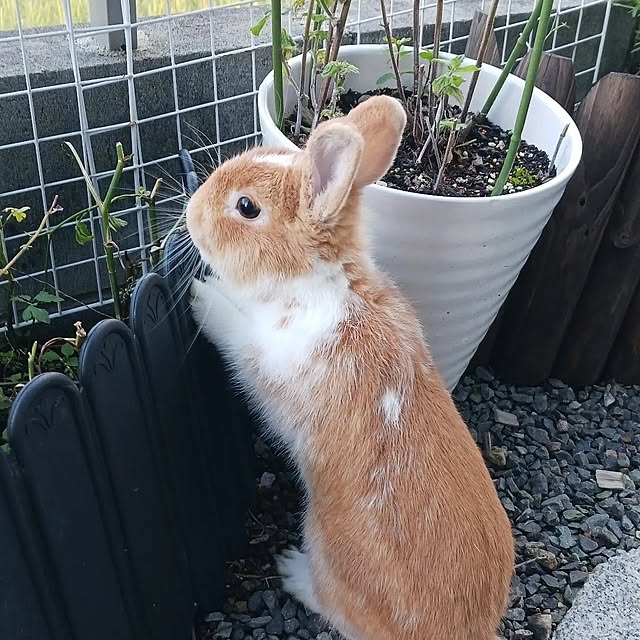 aiさんの部屋