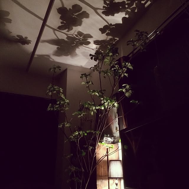 Kikiさんの実例写真
