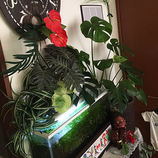 ariさんの実例写真