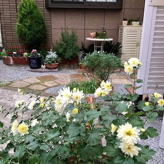 puriyuzuさんの実例写真