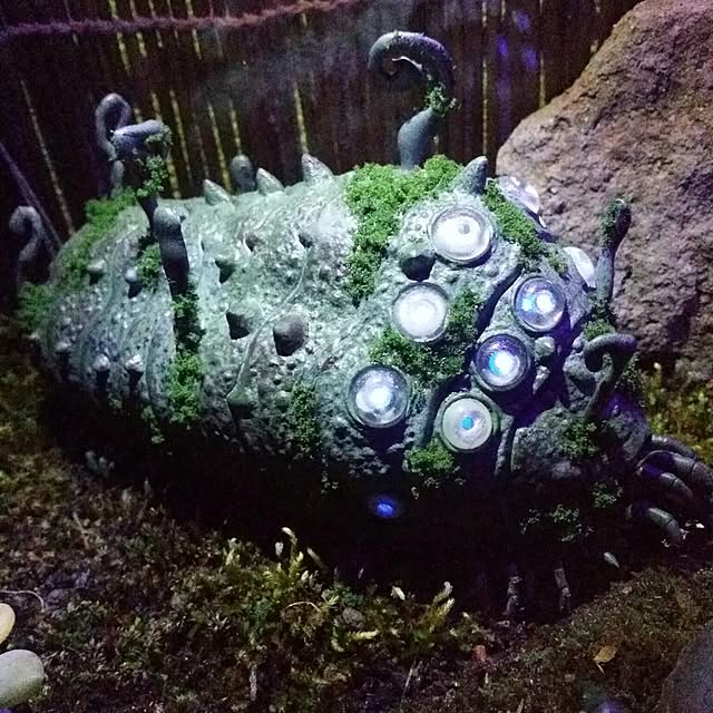 Kinjiさんの実例写真