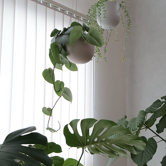 komeさんの部屋