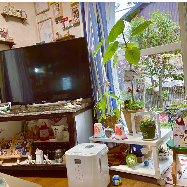 takakoさんの実例写真