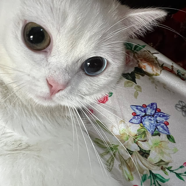 AYUKOさんの部屋
