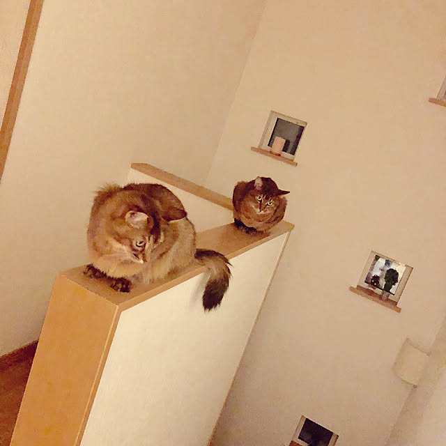 Yumiさんの実例写真