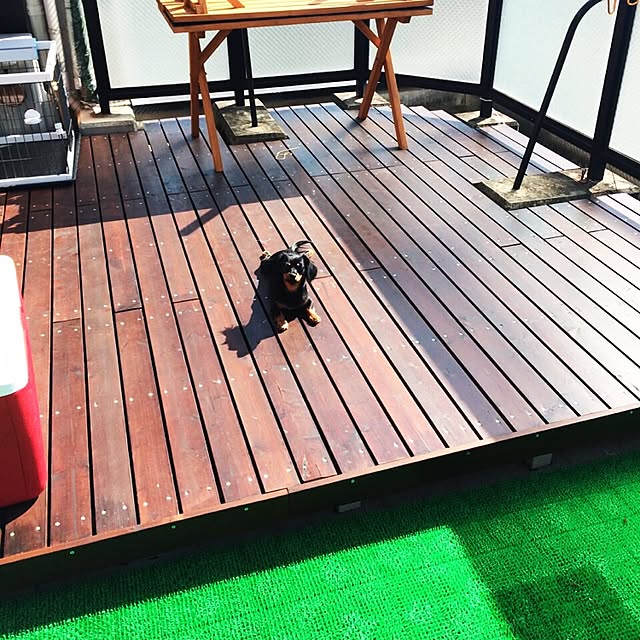 実例写真