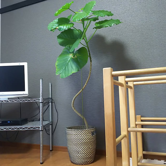 ahahaさんの実例写真