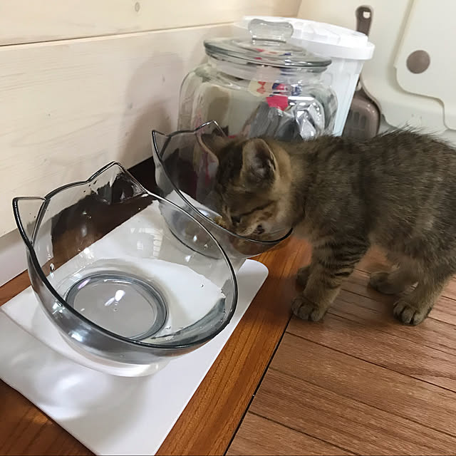 chiitanさんの実例写真