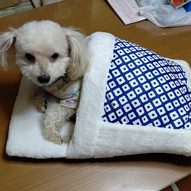 yumirinさんの実例写真