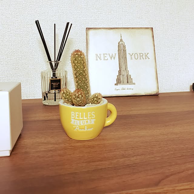 ibaraさんの実例写真