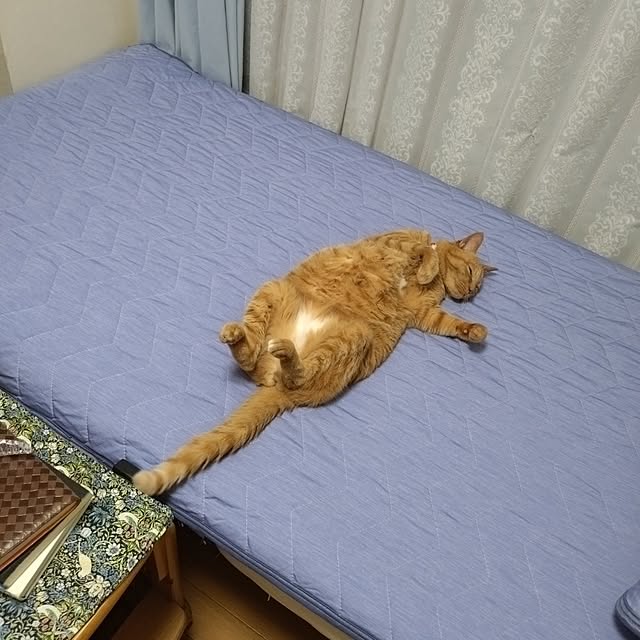 NOAHさんの実例写真