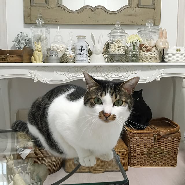 yuchiさんの実例写真