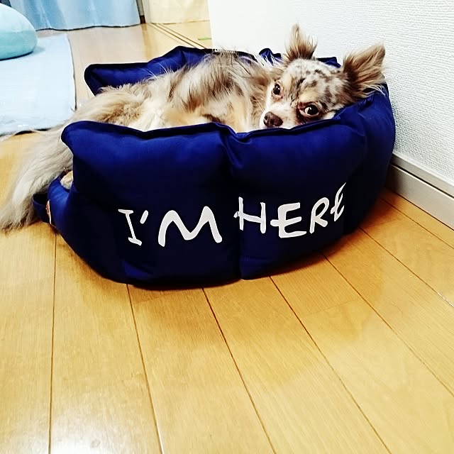 emuさんの実例写真