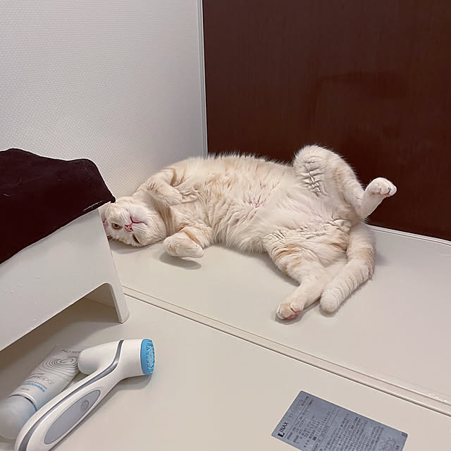 hiyupan88さんの実例写真