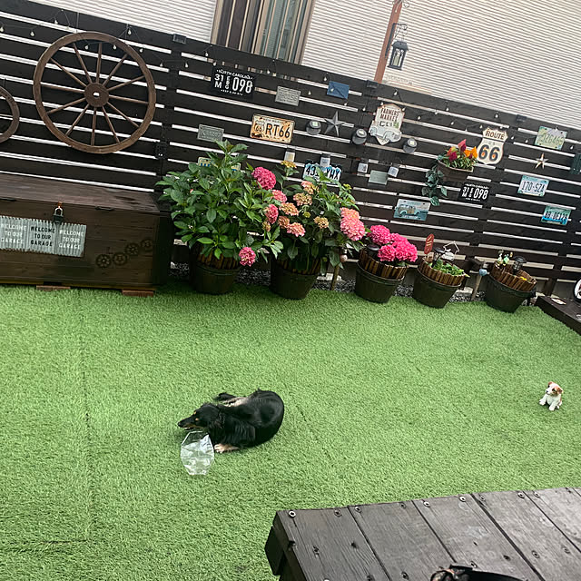 akipuさんの部屋