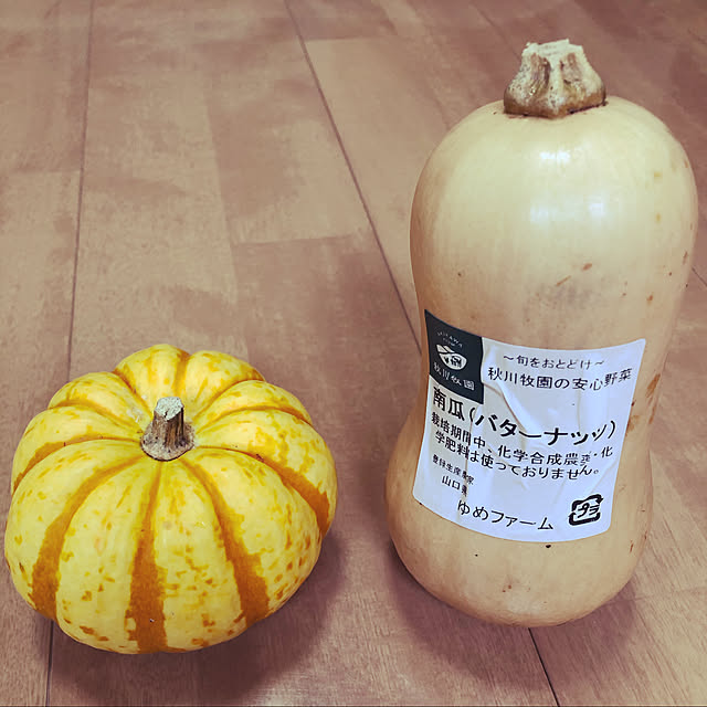 Hayabusaさんの実例写真
