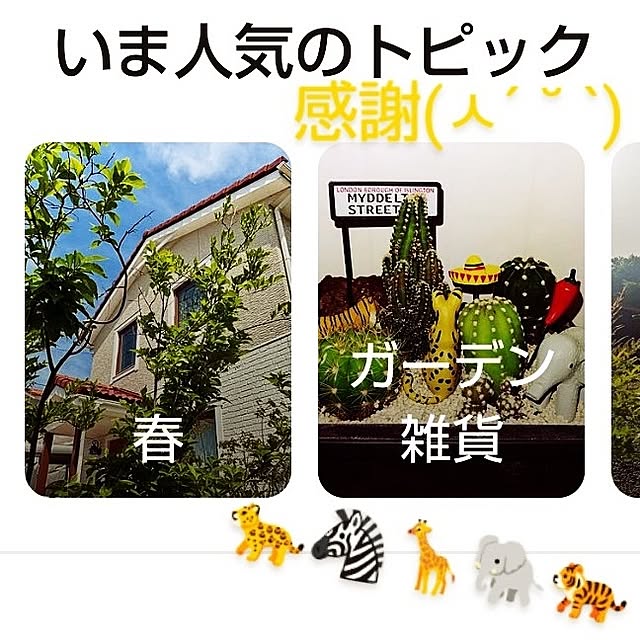 katさんの部屋