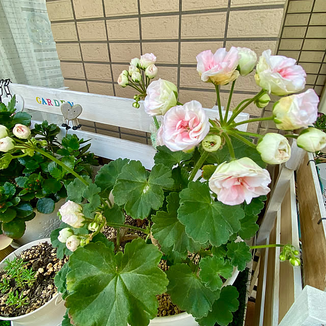YuuKoさんの部屋