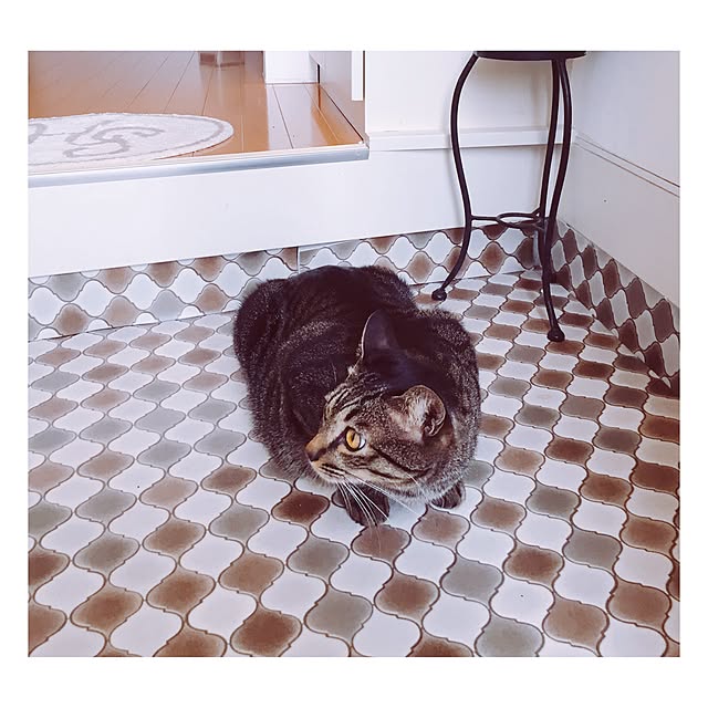 nyan.73さんの実例写真