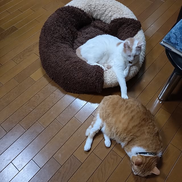 NOAHさんの部屋