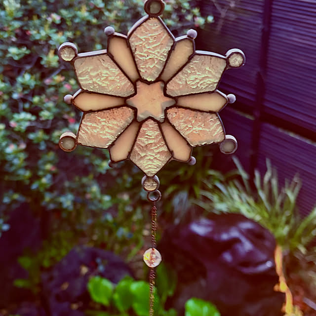 chacoさんの部屋