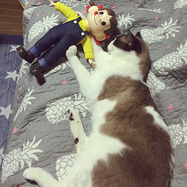 vivienne.coco-keiさんの実例写真