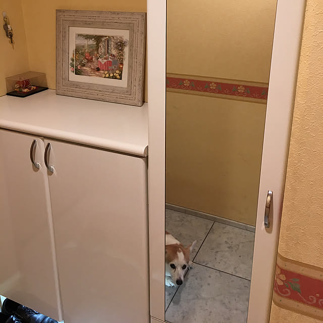 実例写真