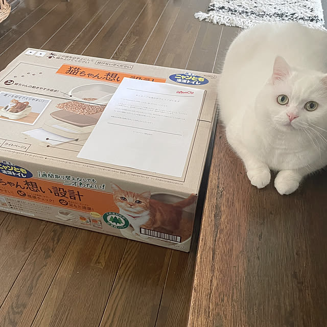 kotoriさんの実例写真