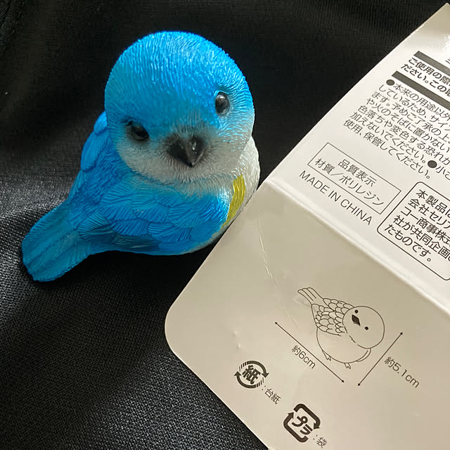 manduonmaさんの実例写真