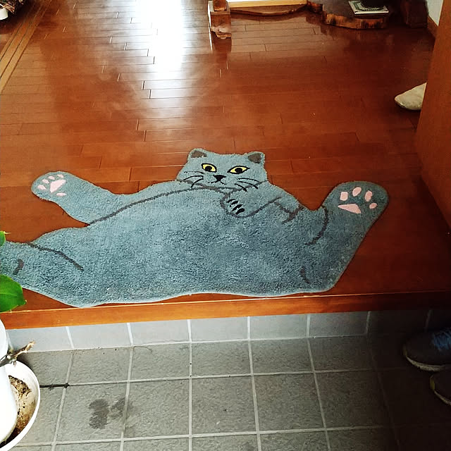 komgi12さんの実例写真