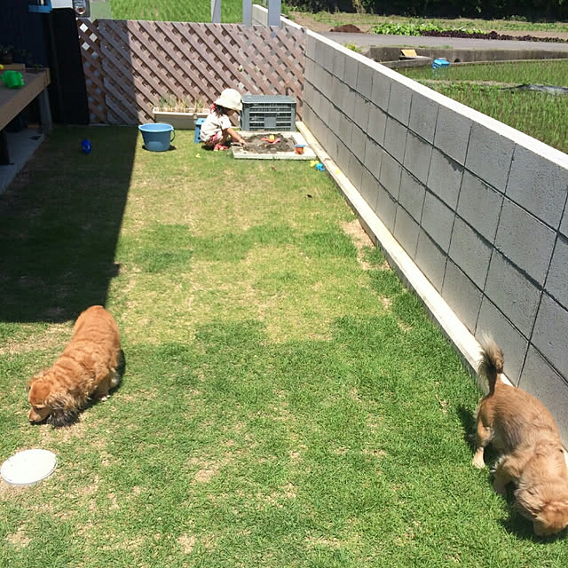 kenzanさんの実例写真