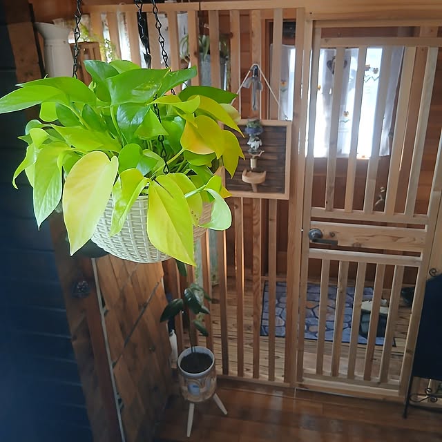 murasaki808さんの実例写真